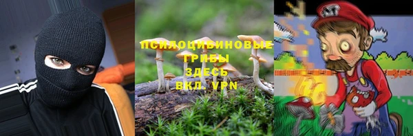 амф Богородск