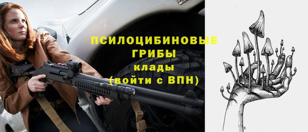 амф Богородск