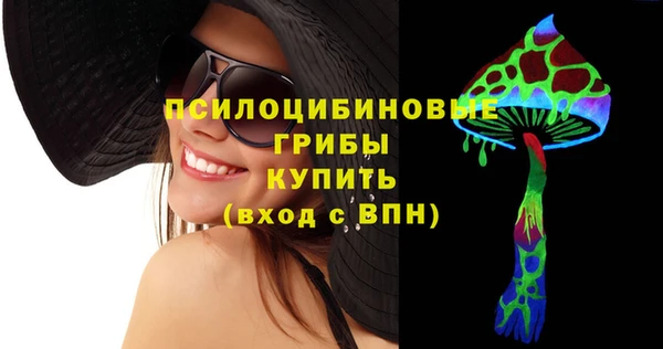 амф Богородск