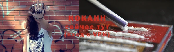 амф Богородск