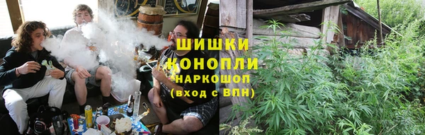 амф Богородск