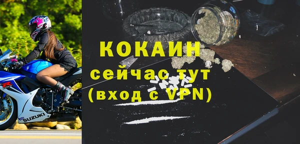 первитин Богородицк