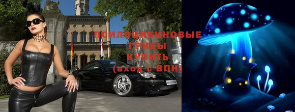 марки lsd Богданович
