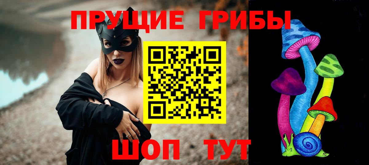 Галлюциногенные грибы Psilocybine cubensis  Великие Луки 