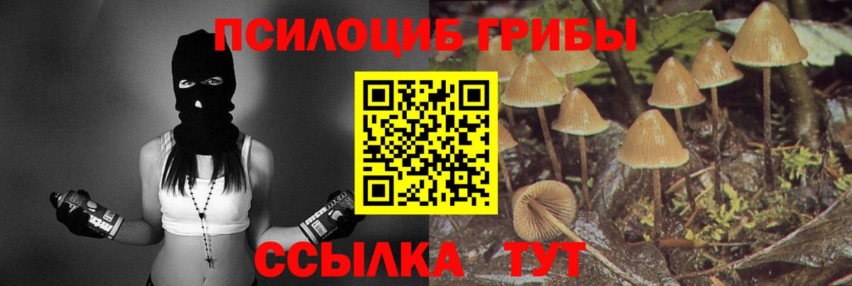 Псилоцибиновые грибы MAGIC MUSHROOMS  купить закладку  Вход с VPN  Великие Луки  Псилоцибиновые грибы мухоморы 